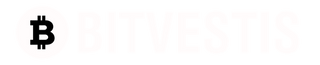 BITVESTIS Logo – Bitcoin Kleidung & Streetwear aus Düsseldorf
